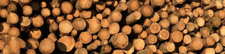 Holz für die Schreinerei Wimmer in Dietenhofen